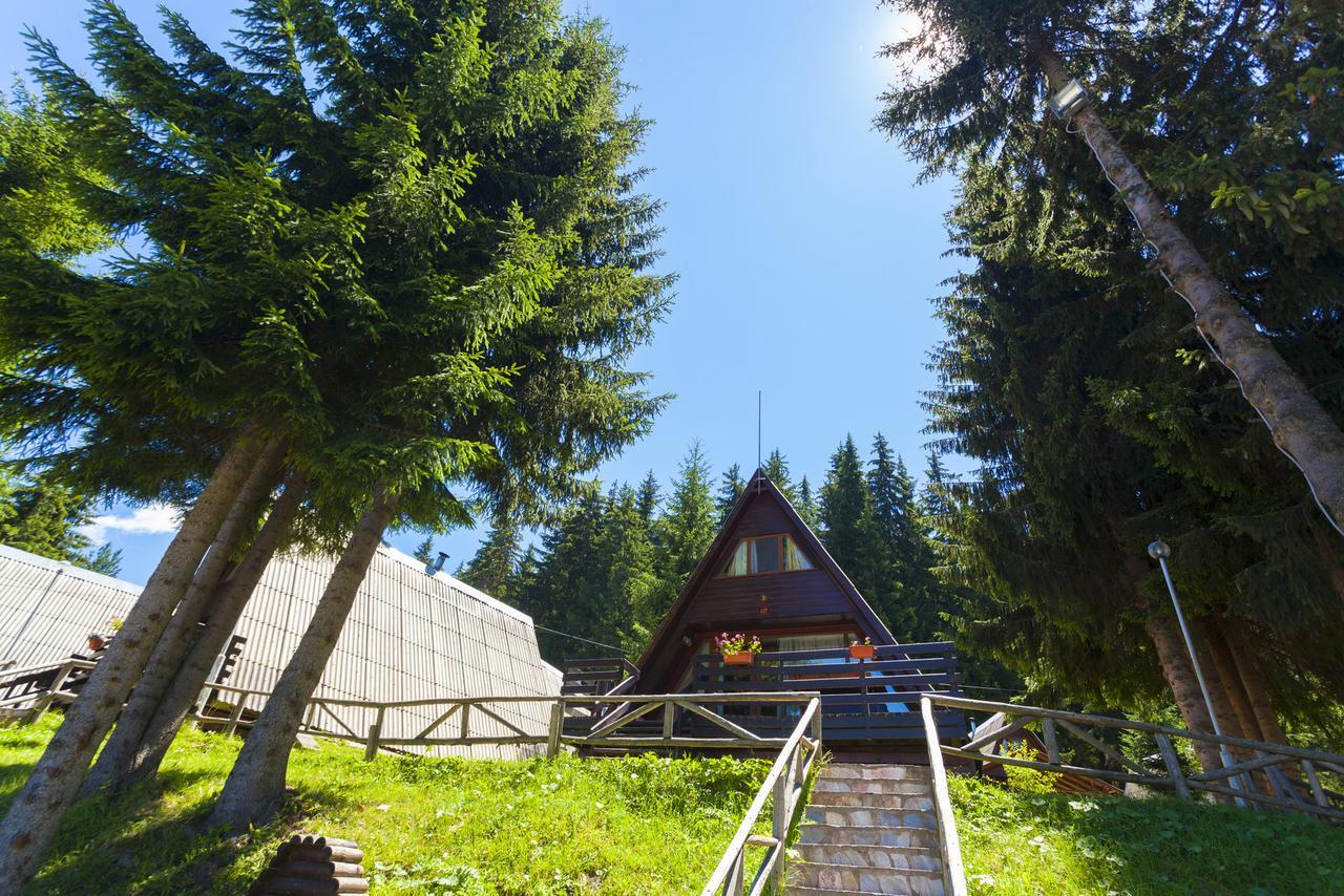 Romantica Forest Guest House Dospat Exterior photo