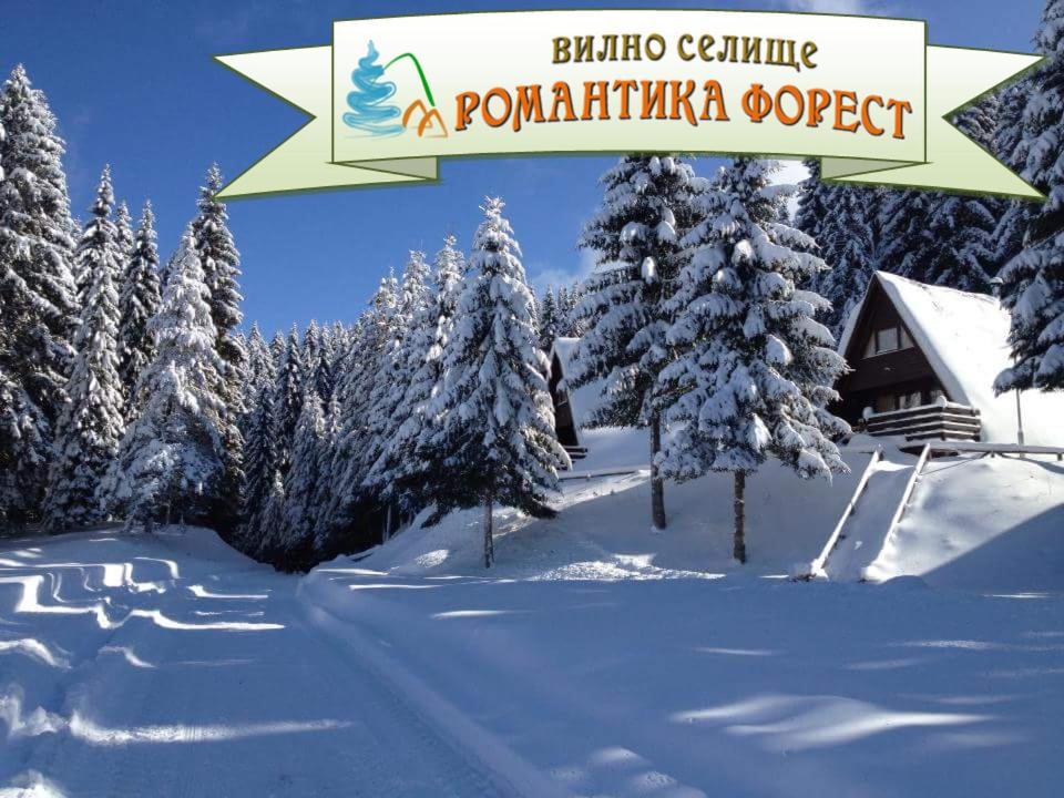 Romantica Forest Guest House Dospat Exterior photo