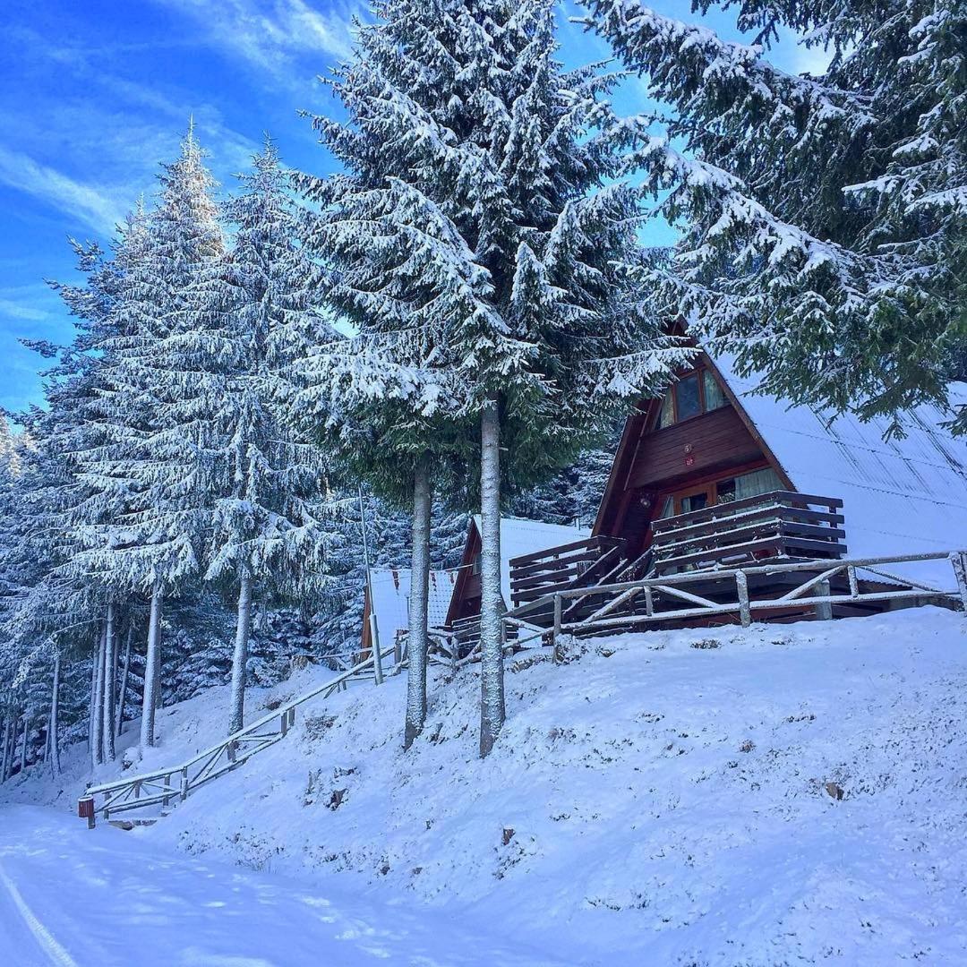 Romantica Forest Guest House Dospat Exterior photo